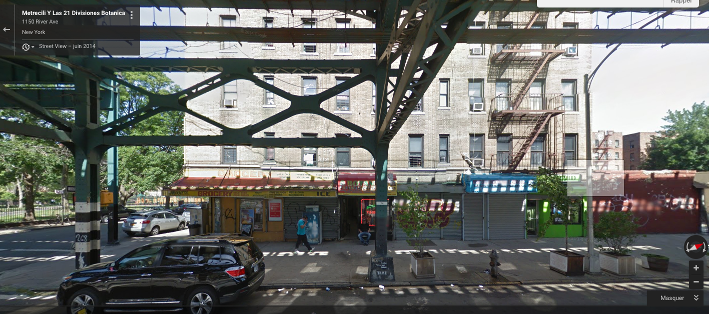 21 Division Botanica - foto Sylvie Boulanger Directeur CNEAI 1