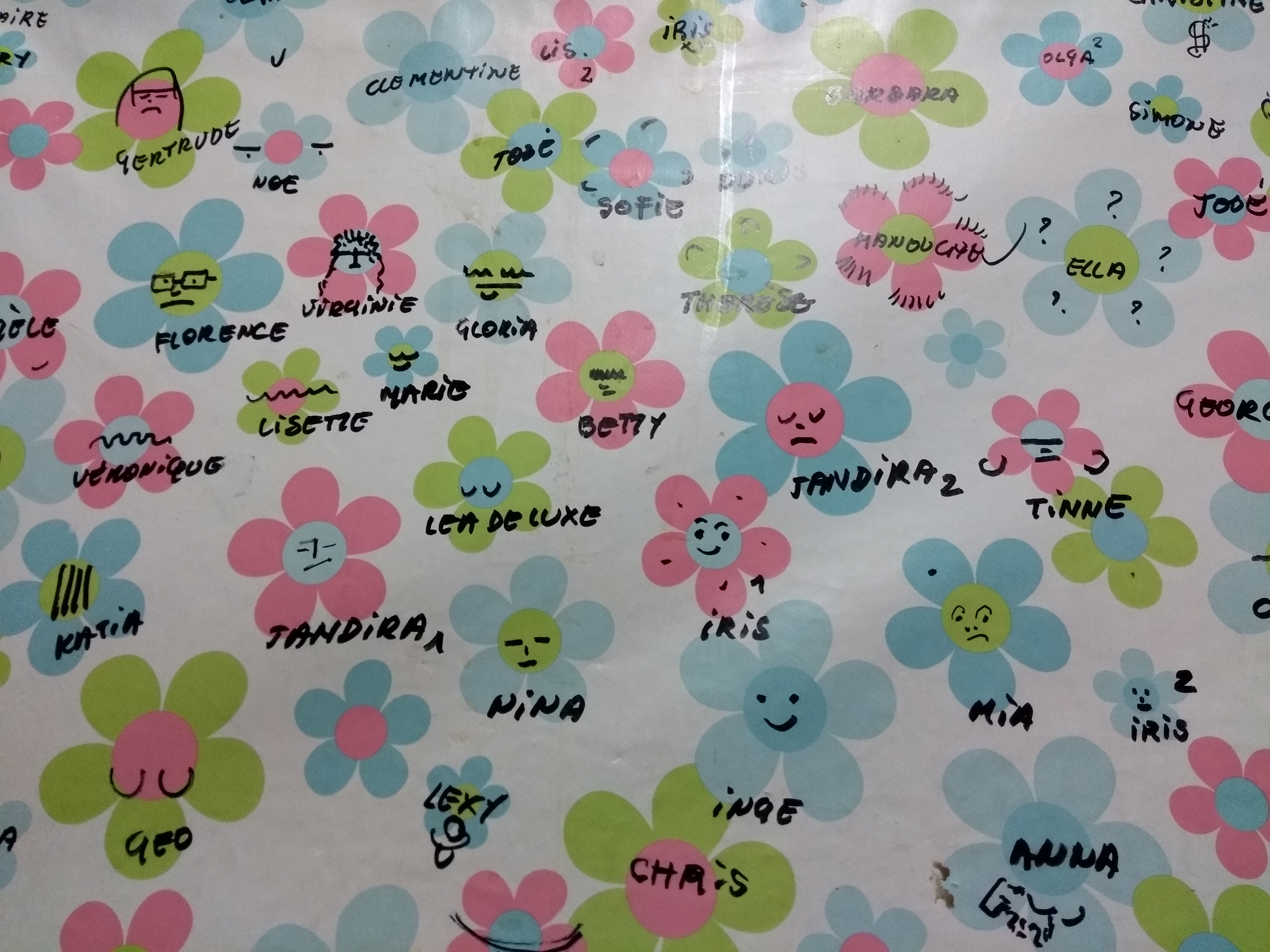 IMG_20171226_toile ciree 2