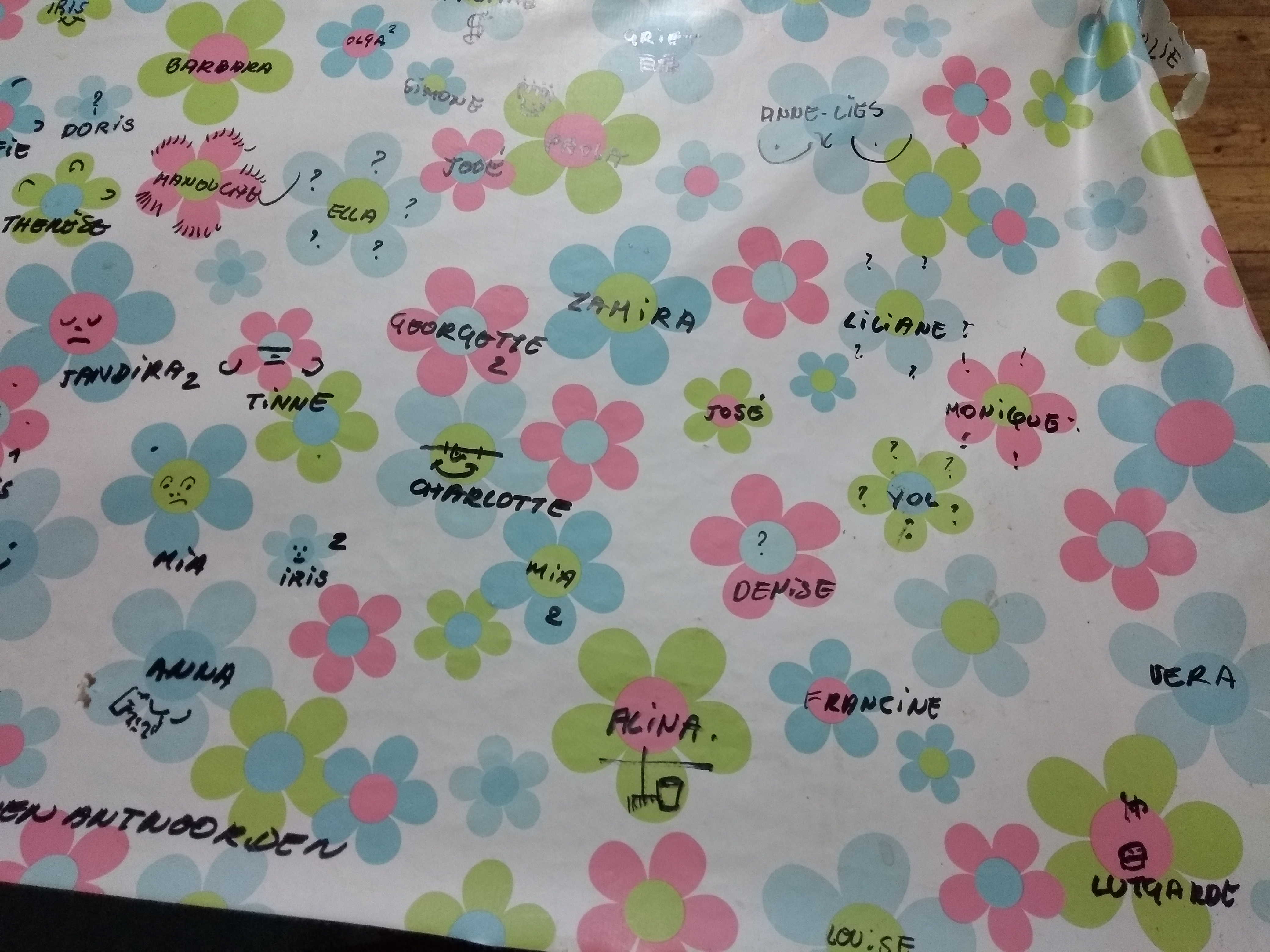 IMG_20171226_toile ciree 3