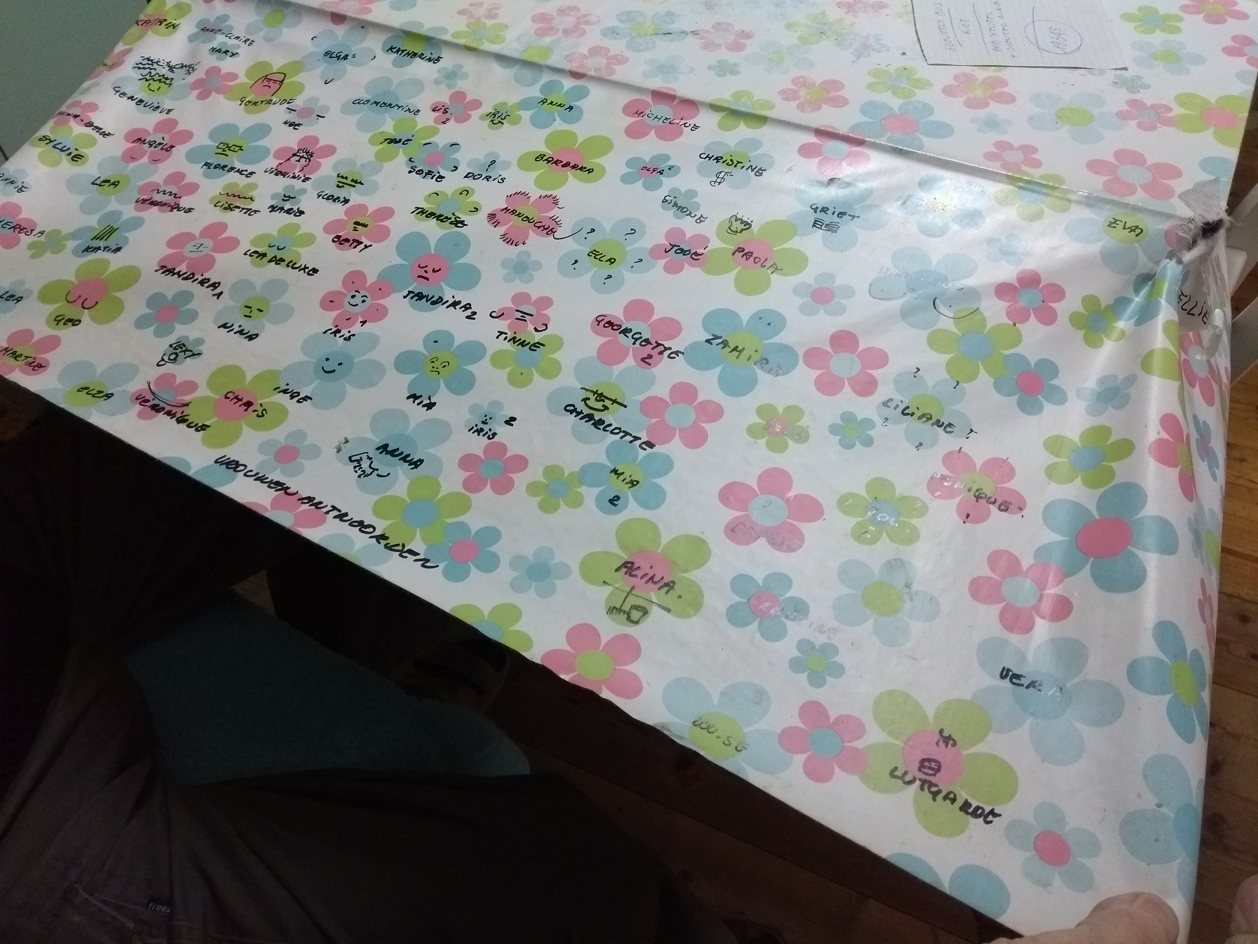 IMG_20171226_toile ciree 4