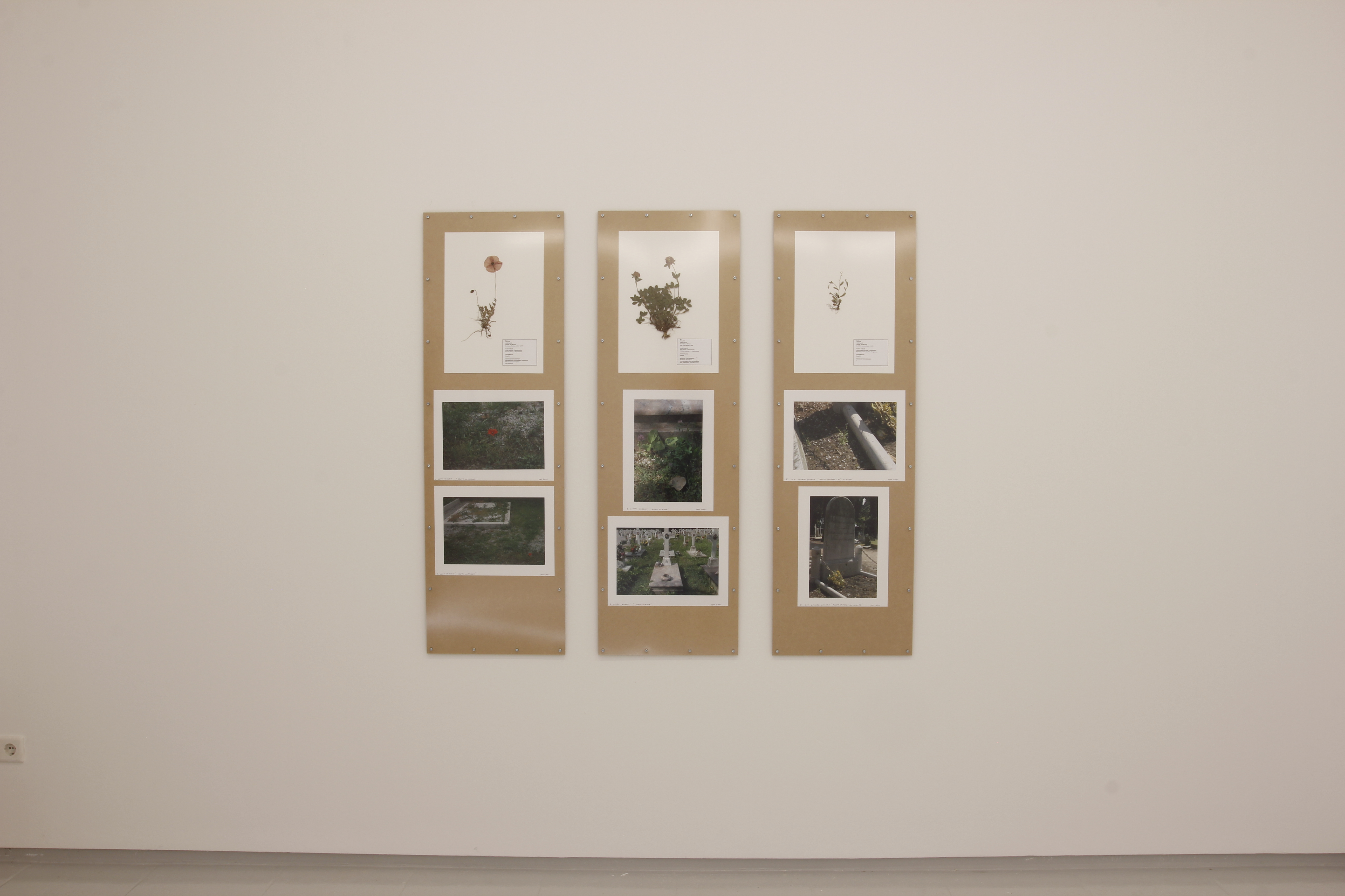 Jef Gey - San Michele_240816_0109