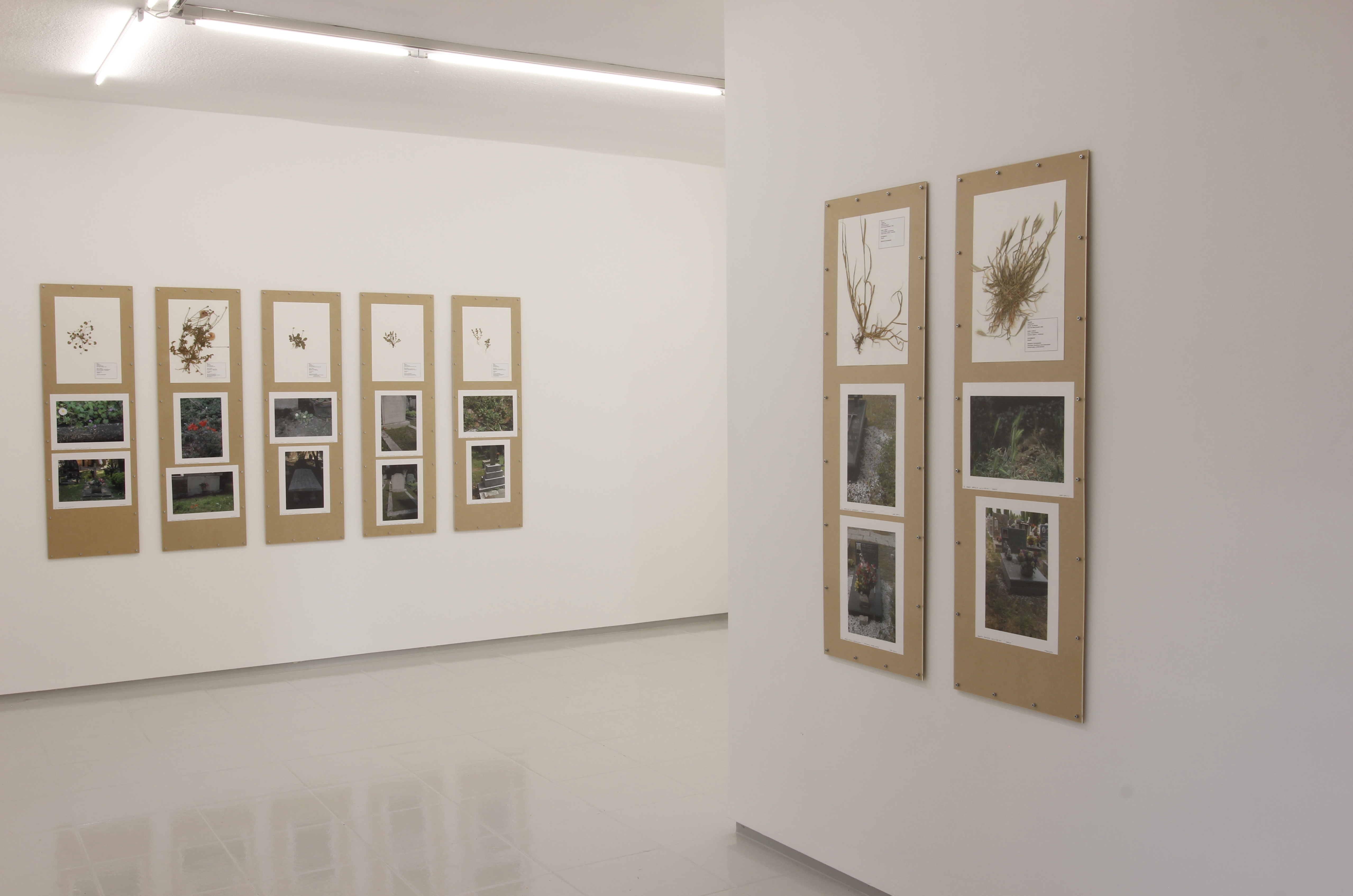 Jef Geys - San Michele_240816_0111